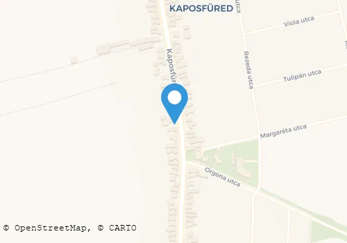 Térkép
