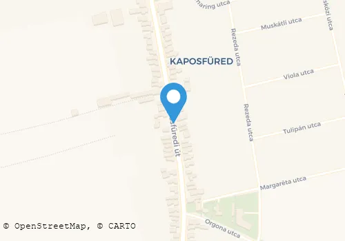 Térkép