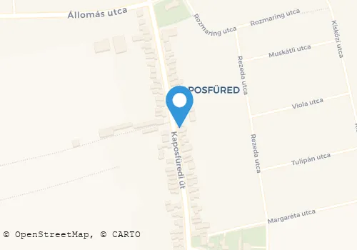 Térkép