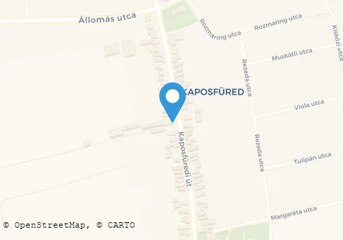 Térkép
