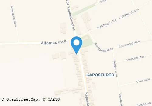 Térkép
