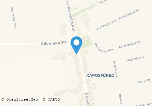 Térkép