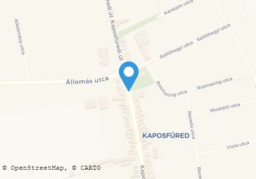 Térkép