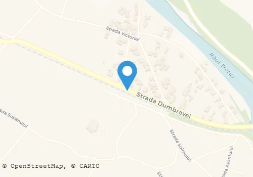 Hartă