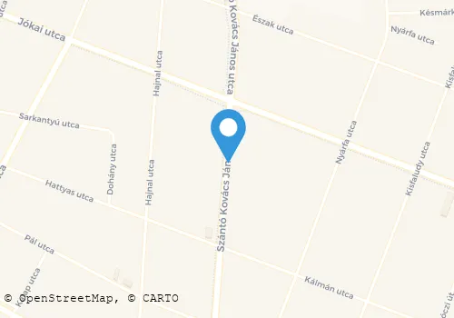 Térkép
