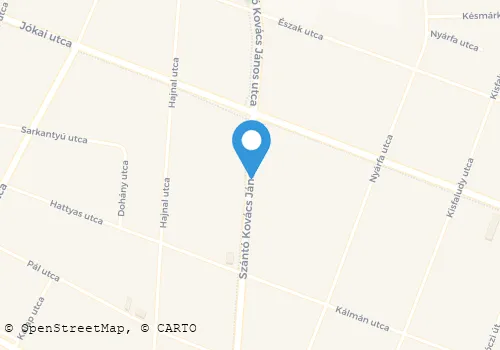 Térkép