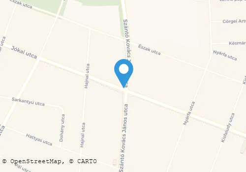 Térkép