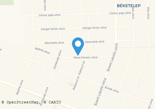 Térkép