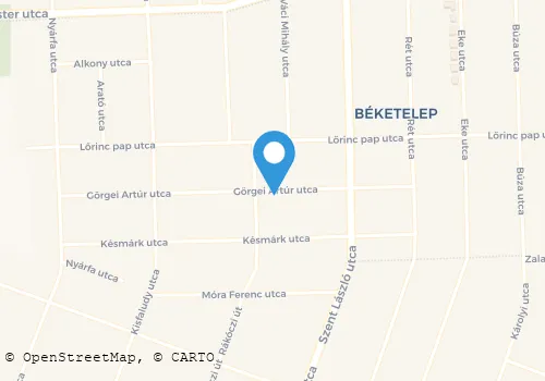 Térkép