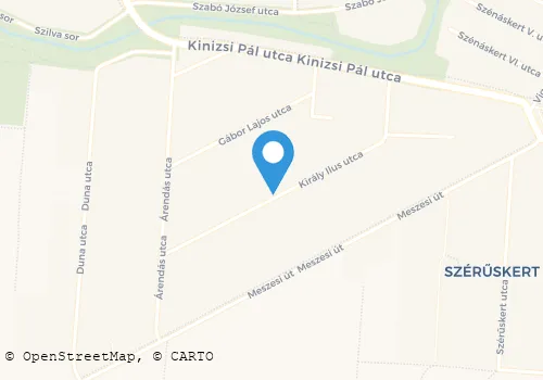 Térkép