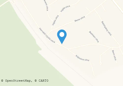 Térkép
