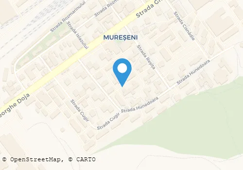 Hartă