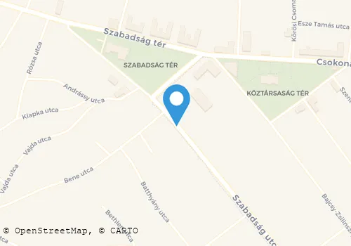 Térkép