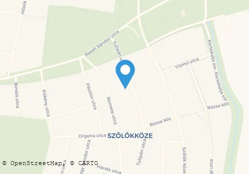 Térkép