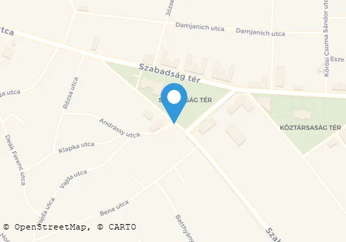 Térkép