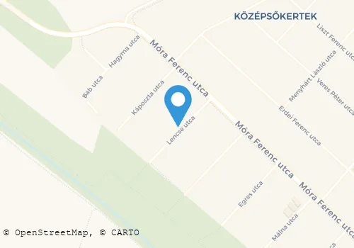 Térkép