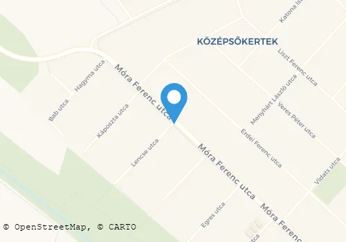 Térkép