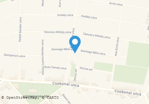 Térkép
