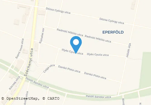 Térkép