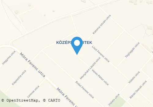 Térkép