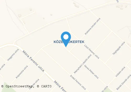 Térkép