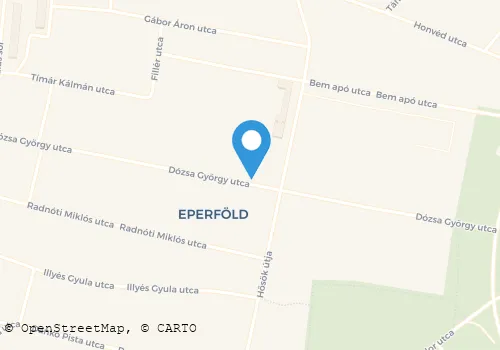 Térkép