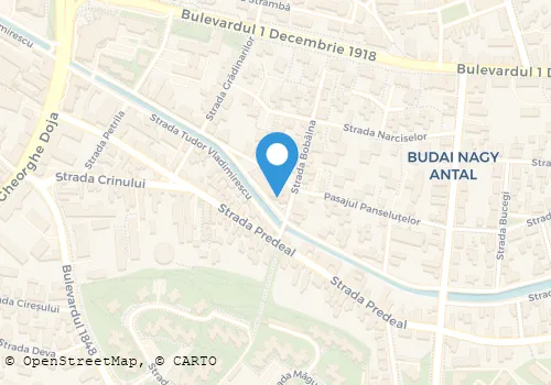 Hartă