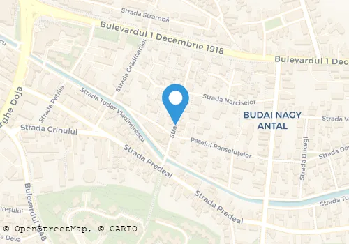 Hartă