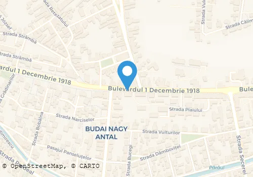 Hartă