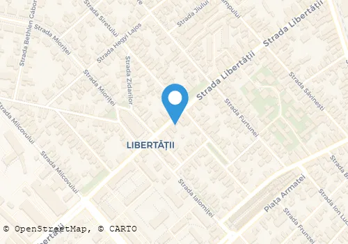 Hartă