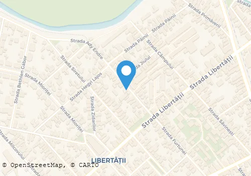 Hartă