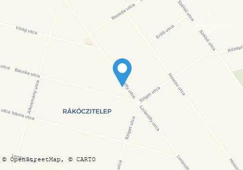 Térkép