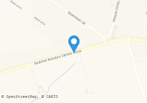 Térkép