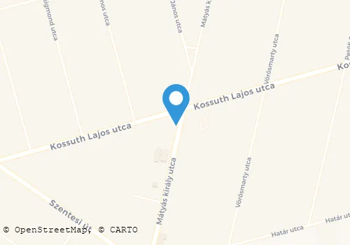 Térkép