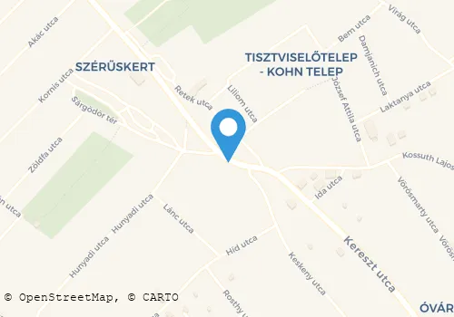 Térkép