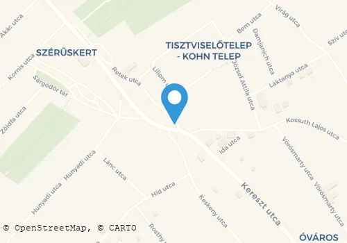 Térkép
