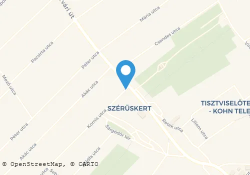 Térkép