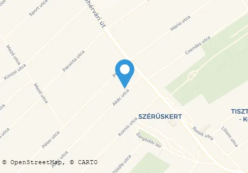 Térkép