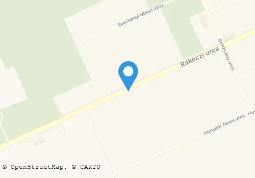 Térkép
