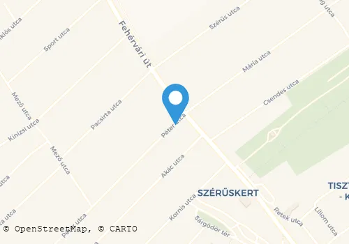 Térkép