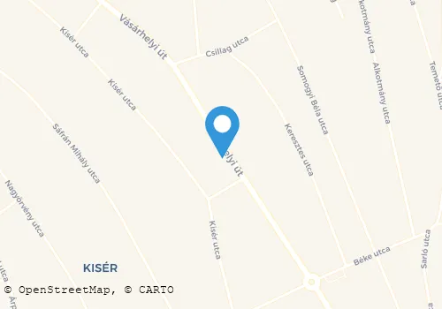 Térkép