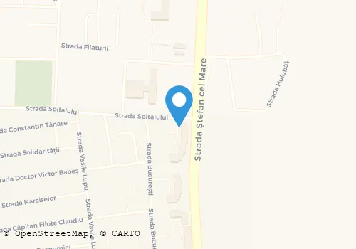 Hartă