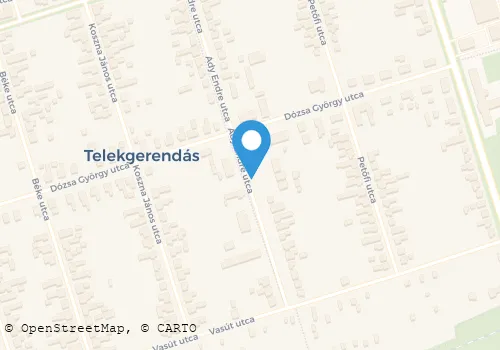 Térkép