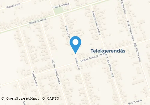 Térkép
