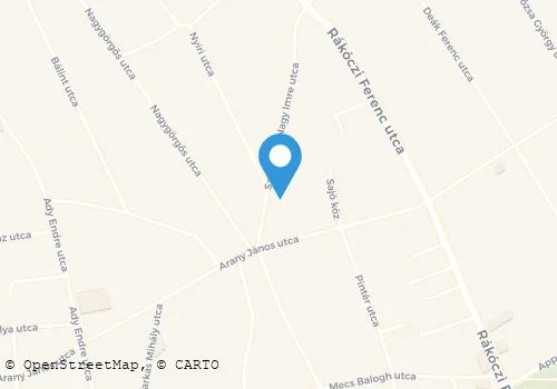 Térkép