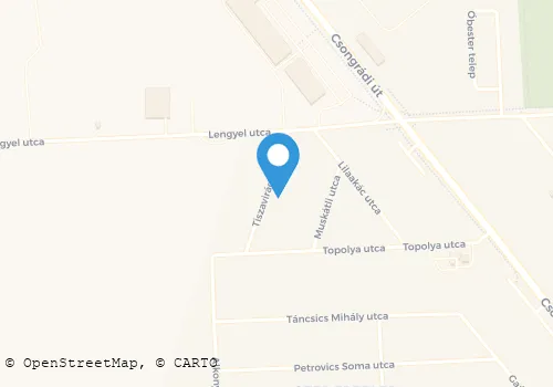 Térkép