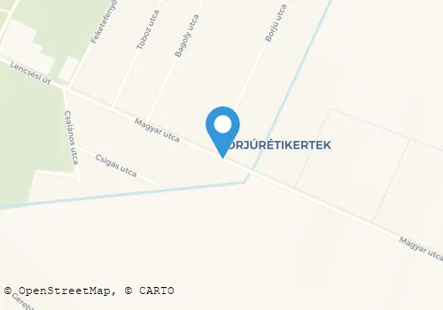 Térkép