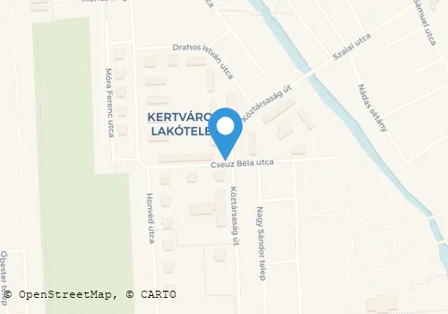 Térkép