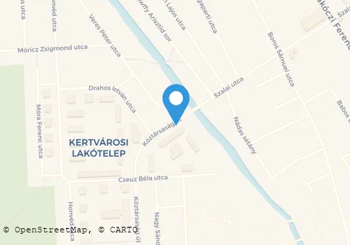 Térkép