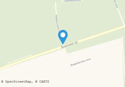 Térkép
